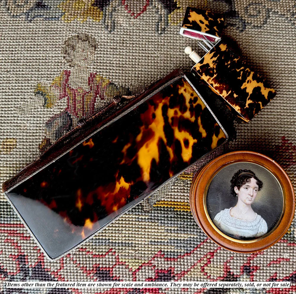 Antique c.1910 Nissel & Sikorra Austrian Evening Purse Wallet in Fine Leather, Silver and Tortoise Shell