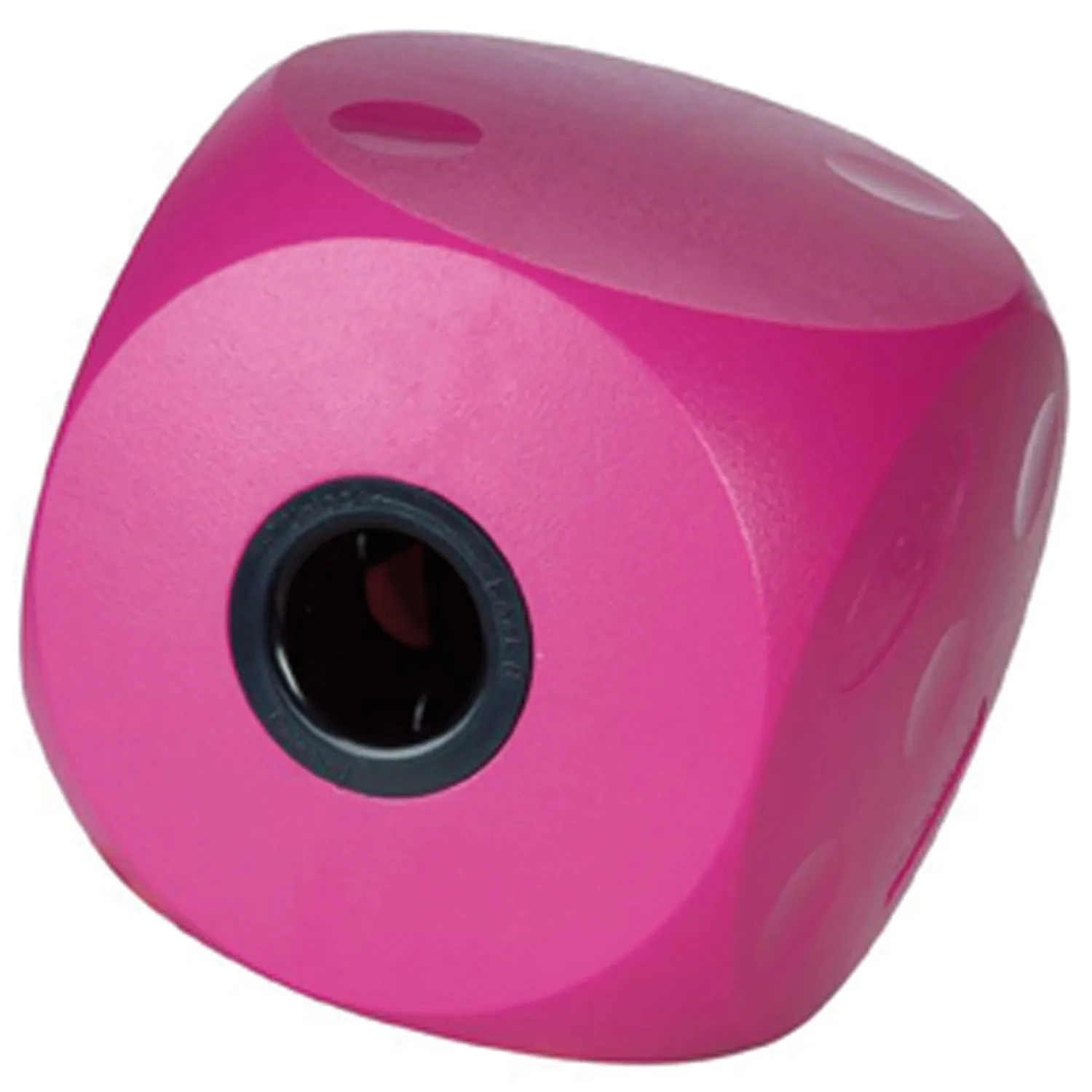 Buster Food Cube - Large
