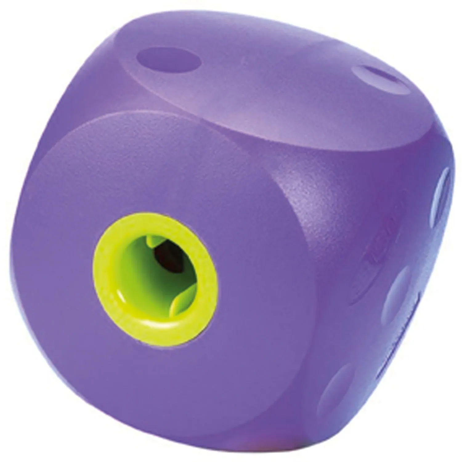 Buster Food Cube - Large