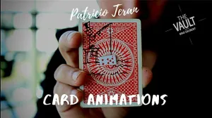 Card Animations by Patricio Teran video DOWNLOAD