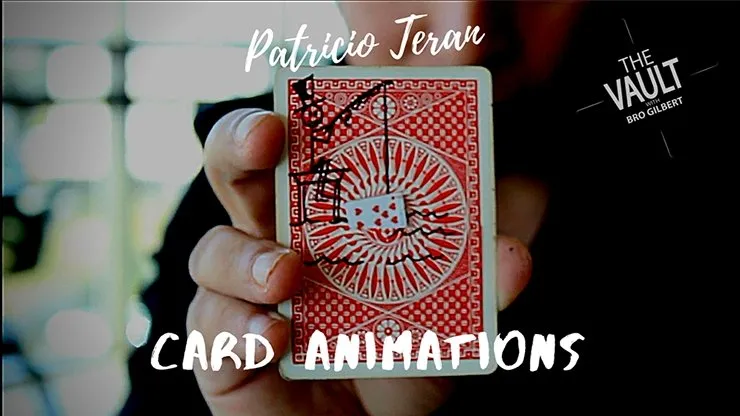 Card Animations by Patricio Teran video DOWNLOAD