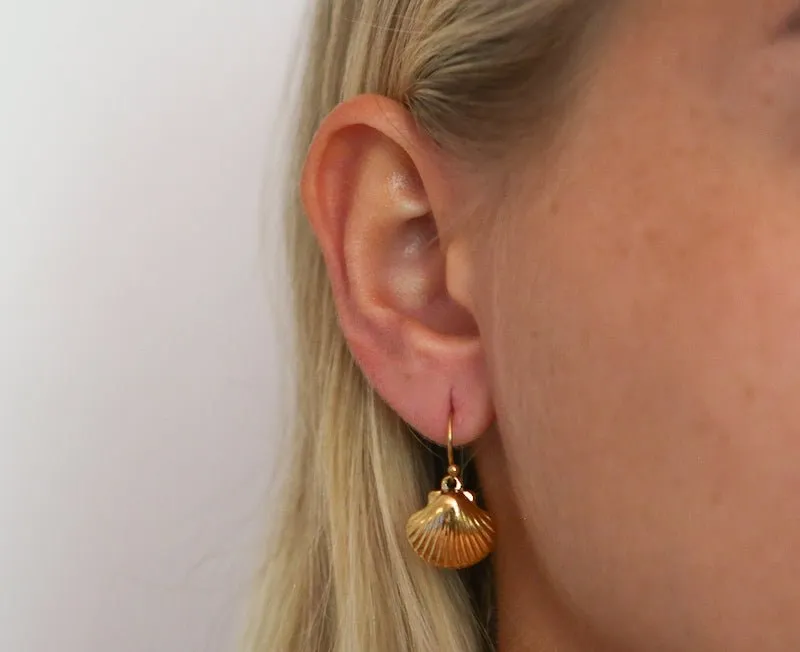 Clam Earrings