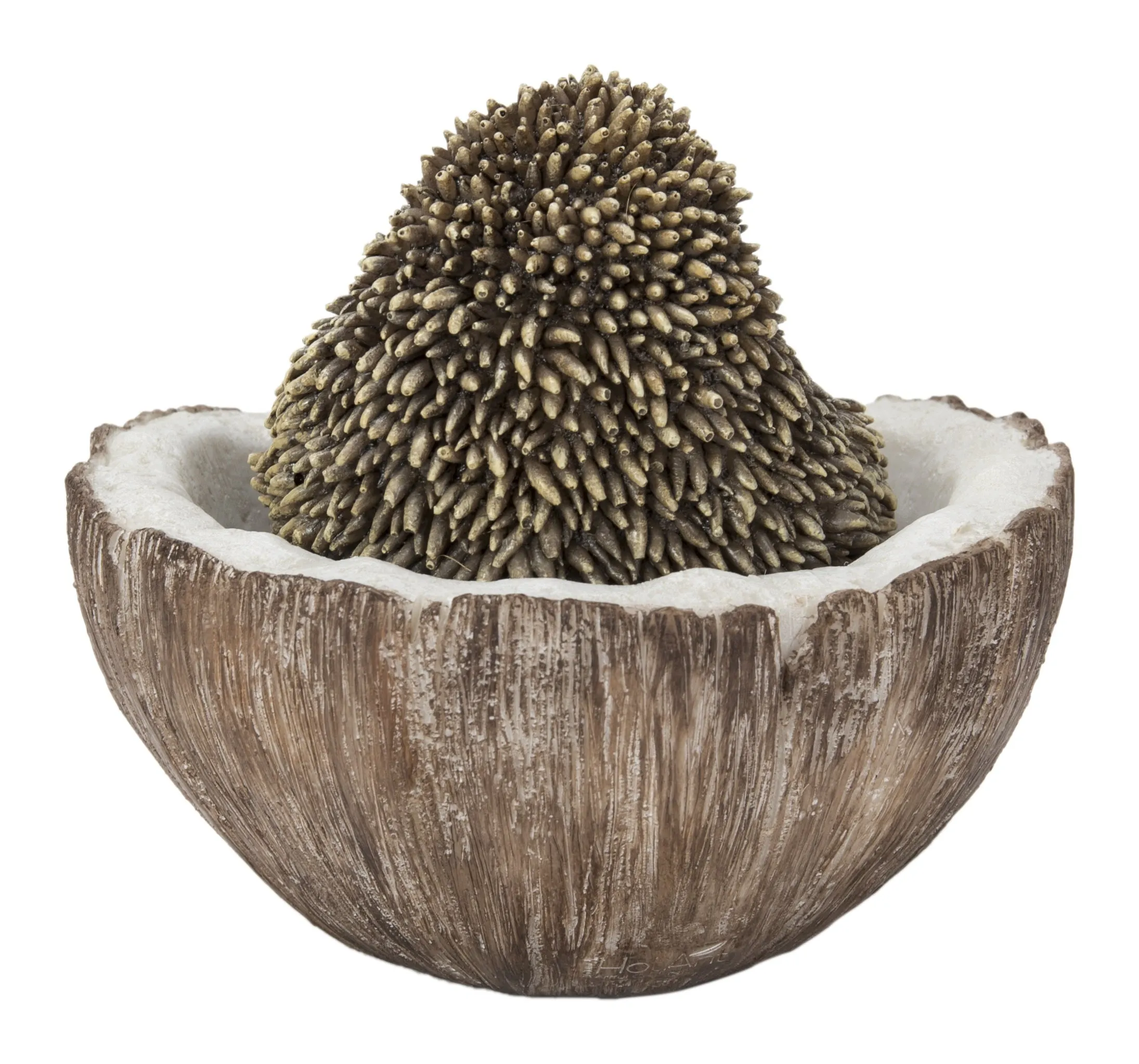 Coconut Hedgehog