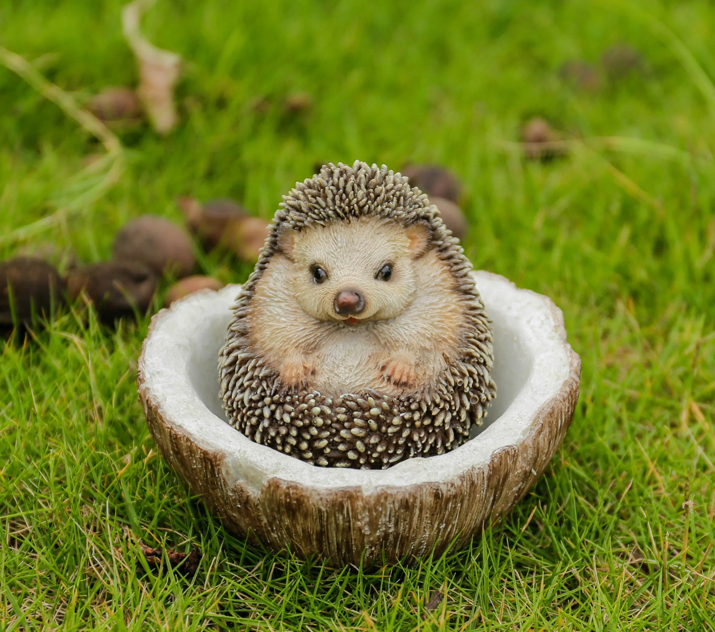 Coconut Hedgehog