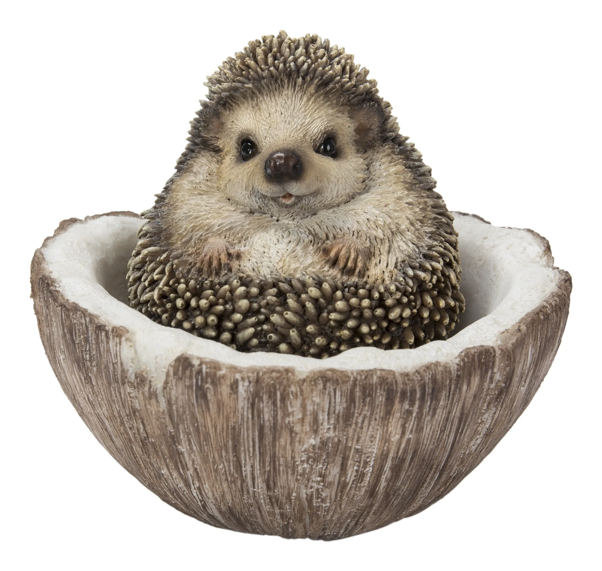 Coconut Hedgehog