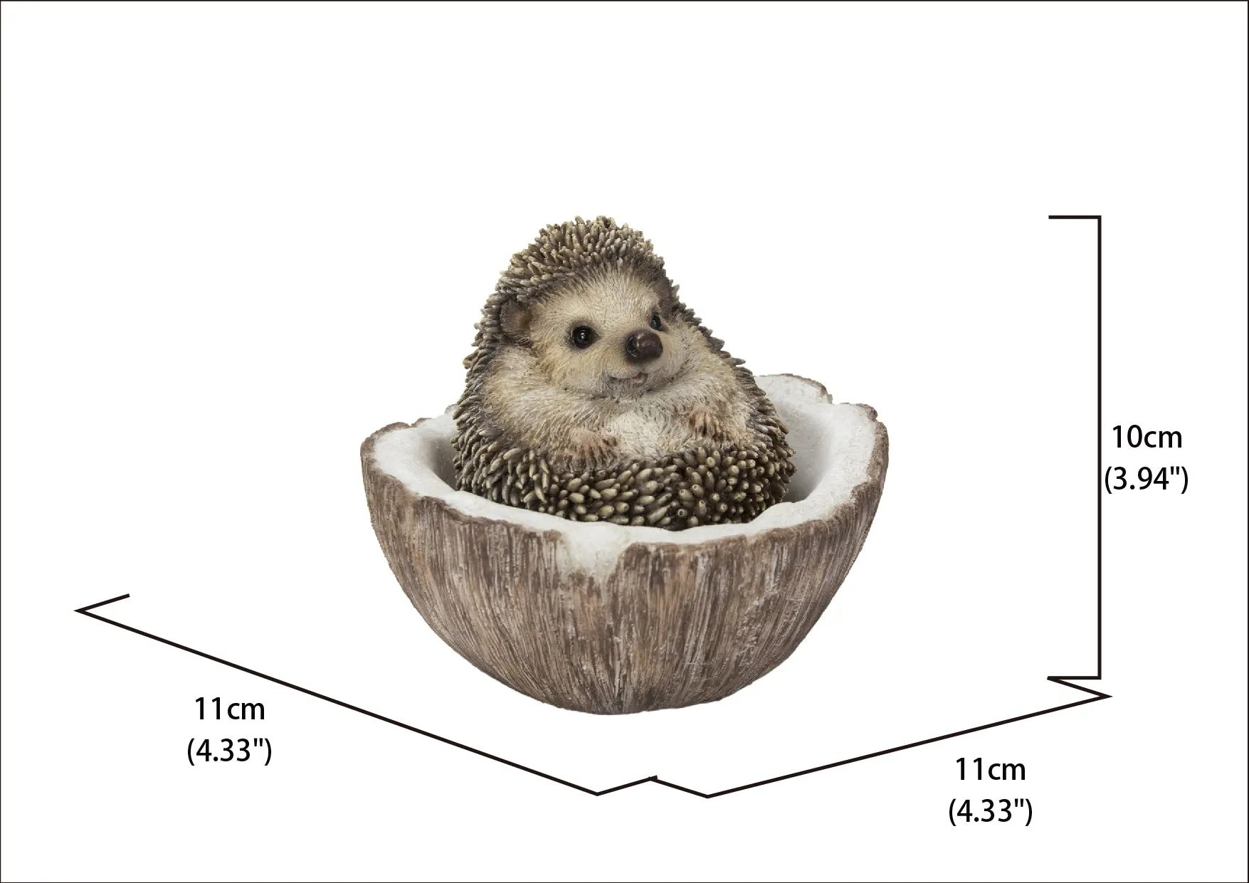 Coconut Hedgehog