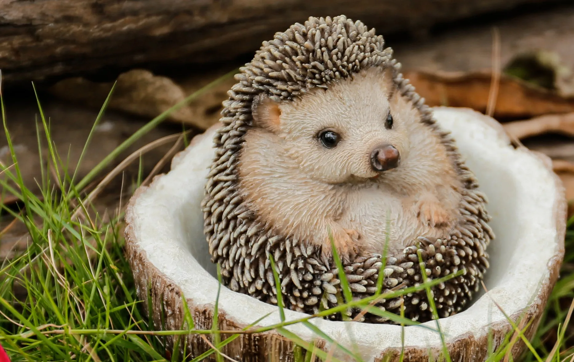 Coconut Hedgehog