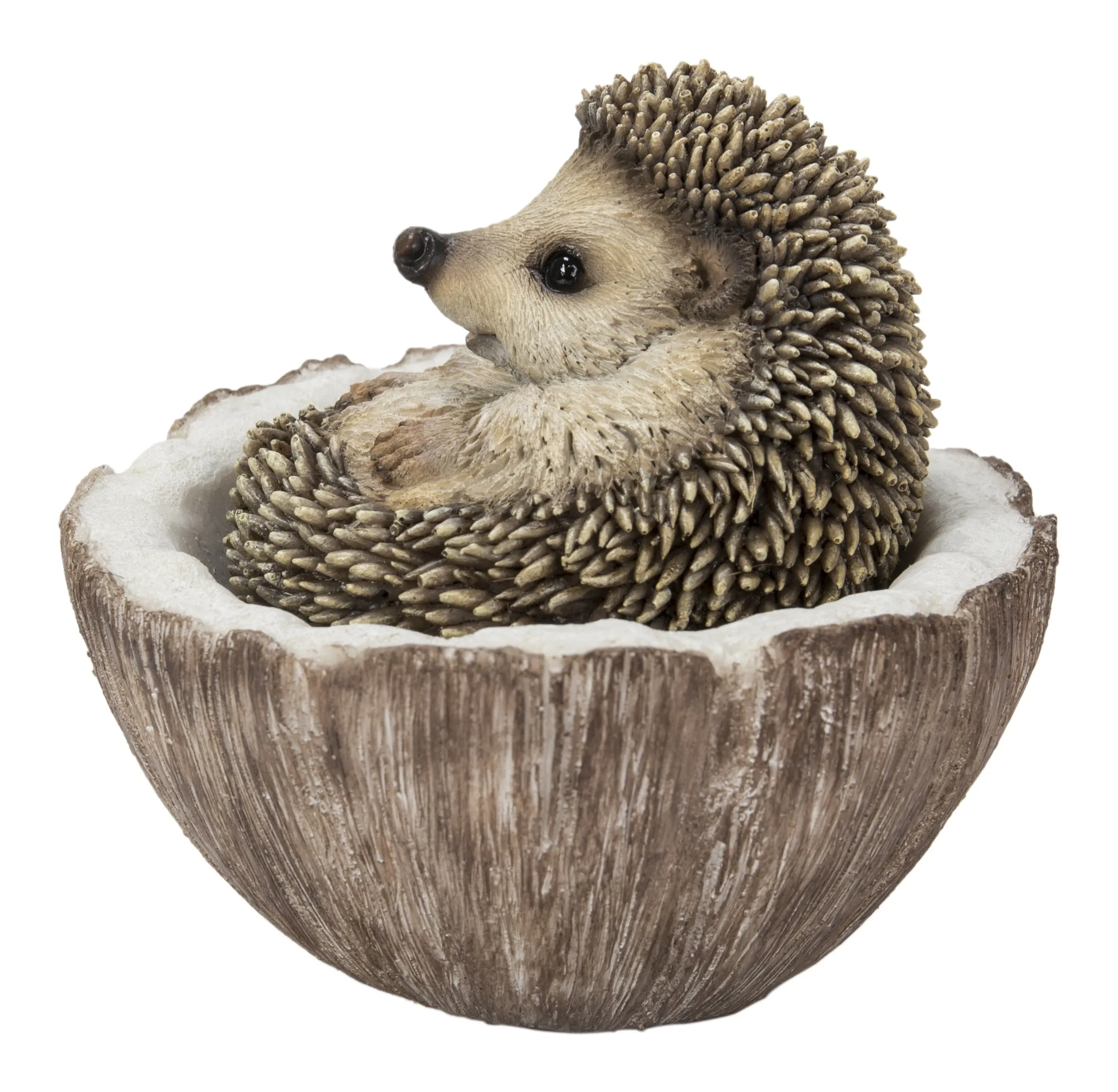 Coconut Hedgehog