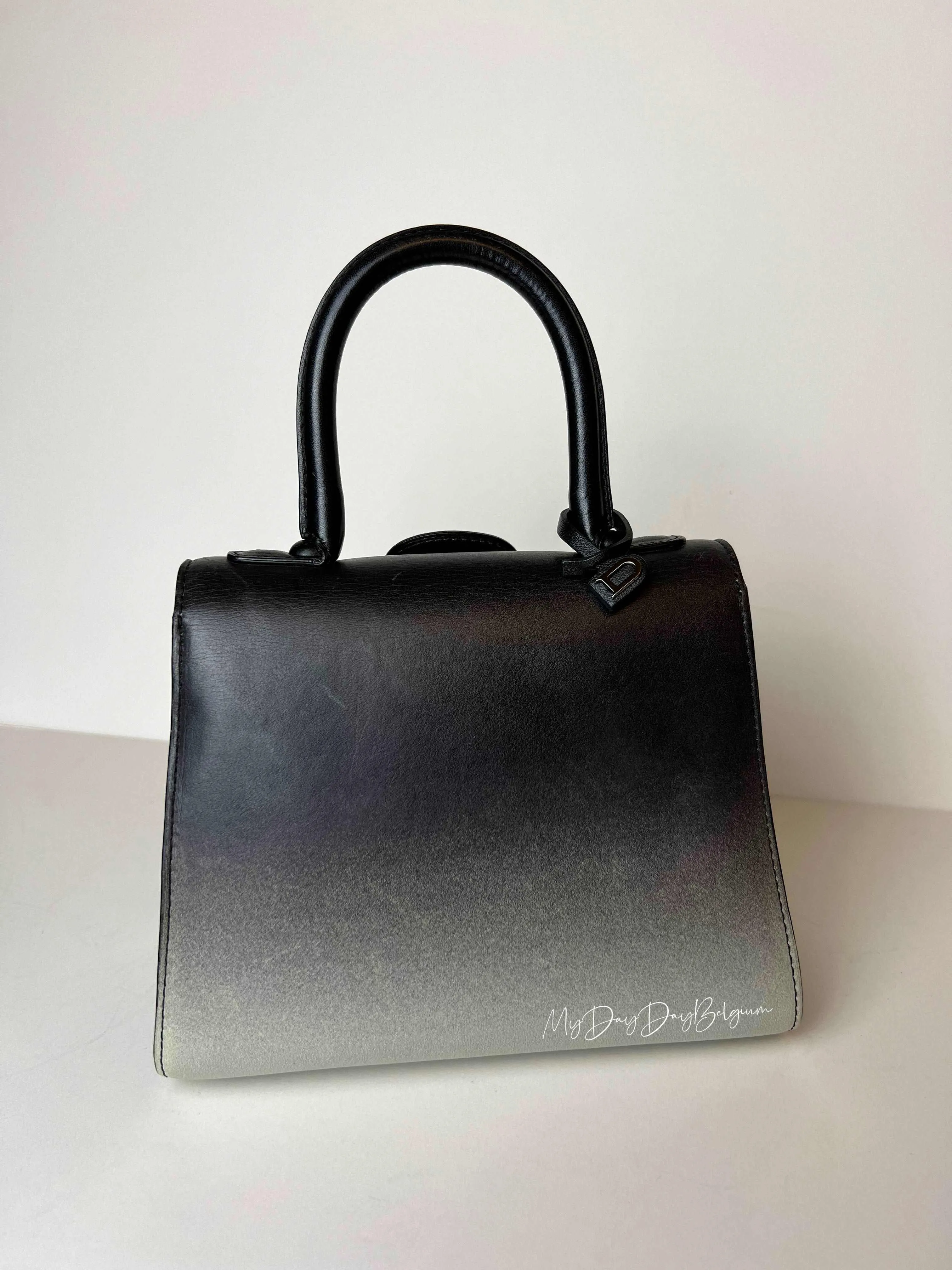 Delvaux Brillant mini “Nuance” 2017