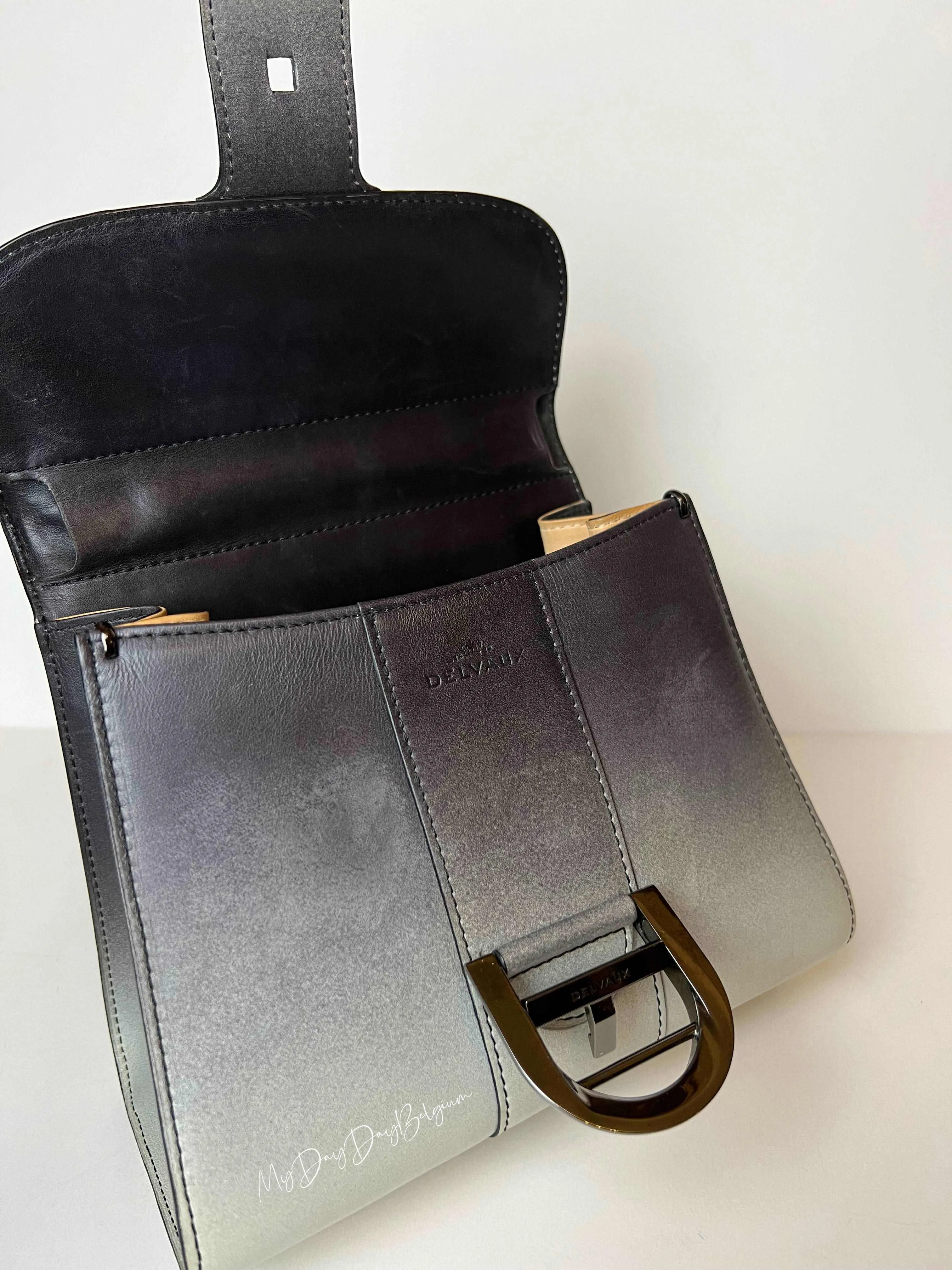 Delvaux Brillant mini “Nuance” 2017
