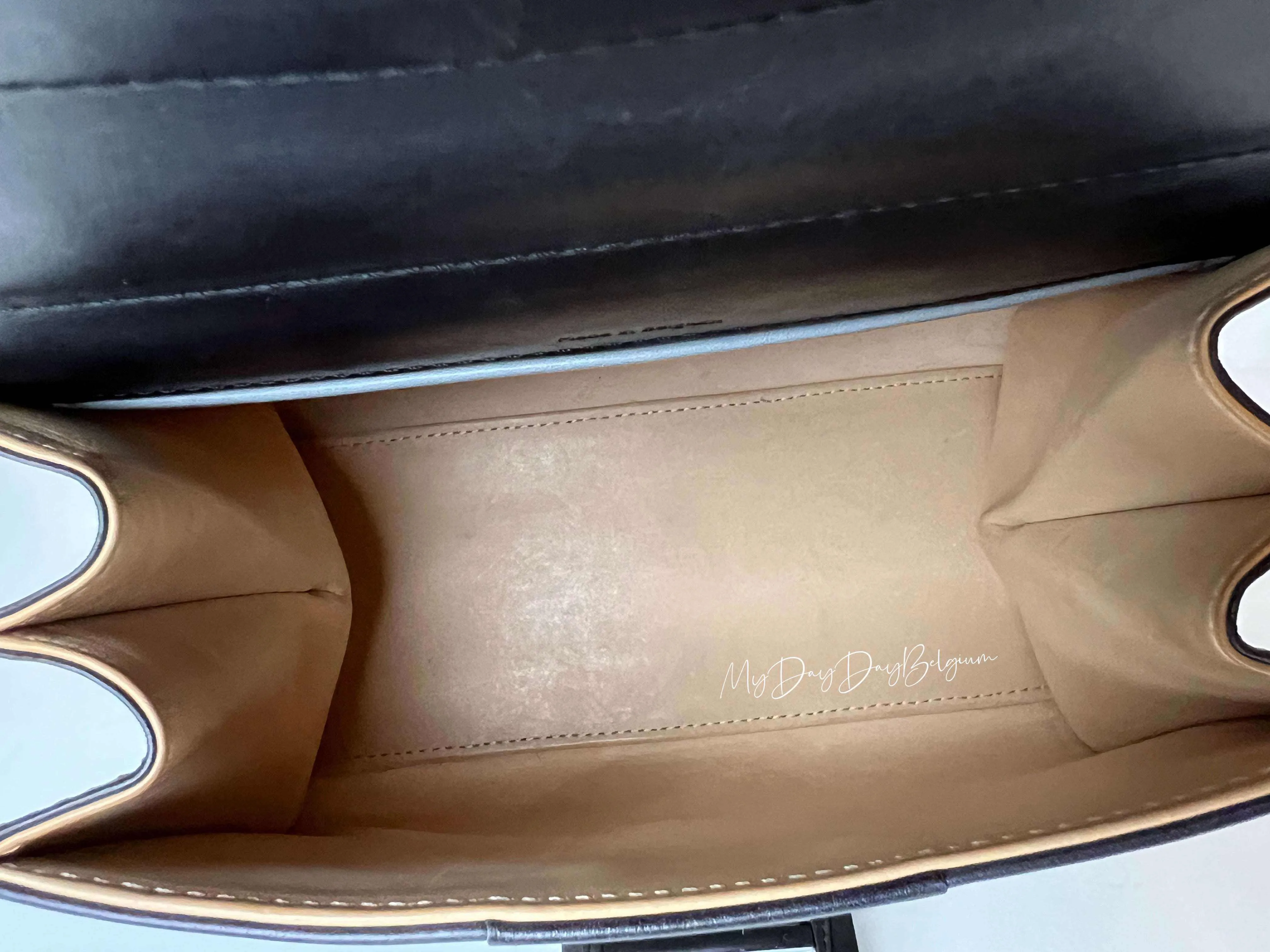 Delvaux Brillant mini “Nuance” 2017
