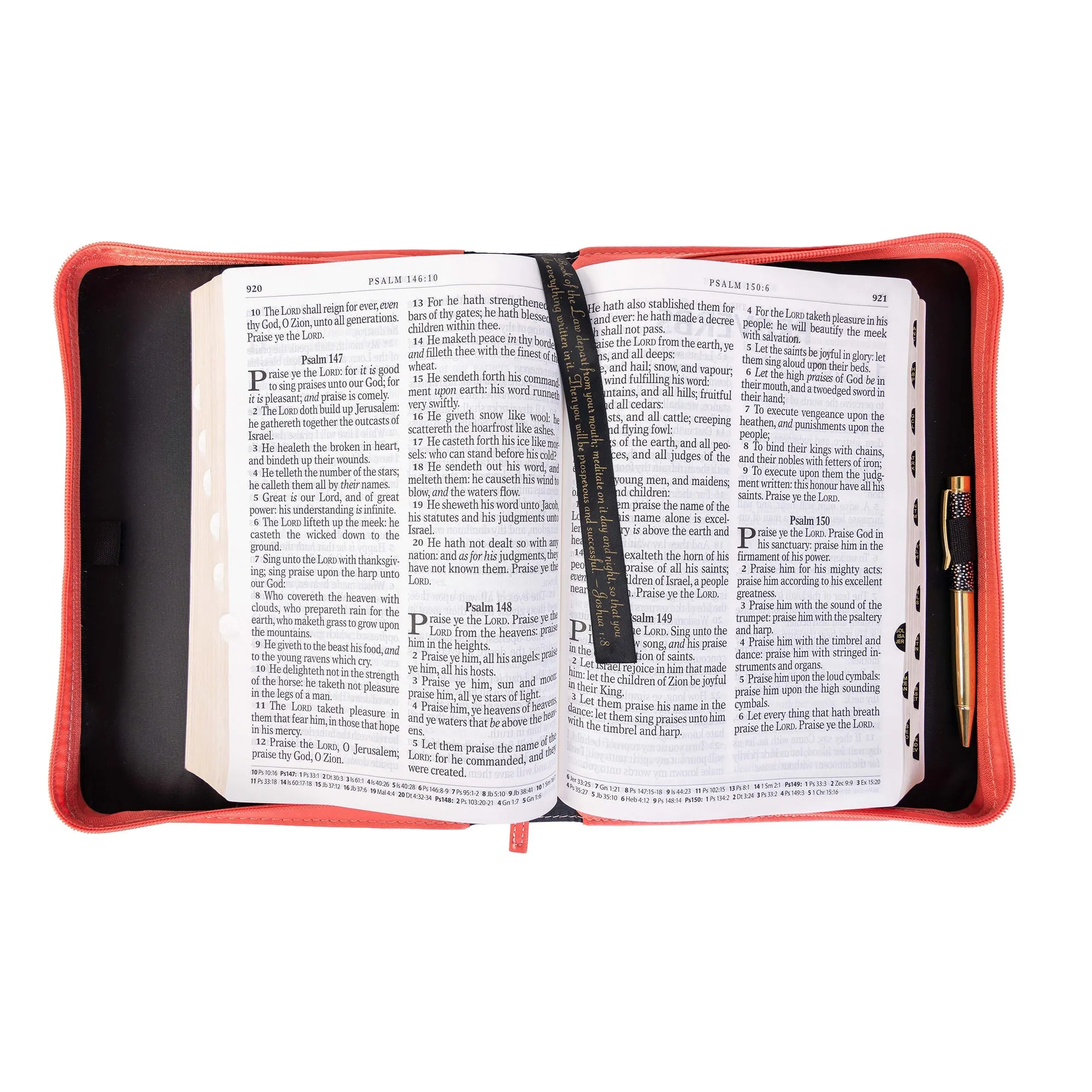 Divine Details: Bible Cover - Modern Sun