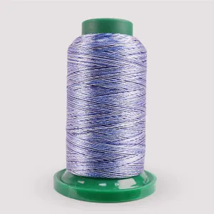 Exquisite Medley Variegated Thread - Denim Blues 1000M V108