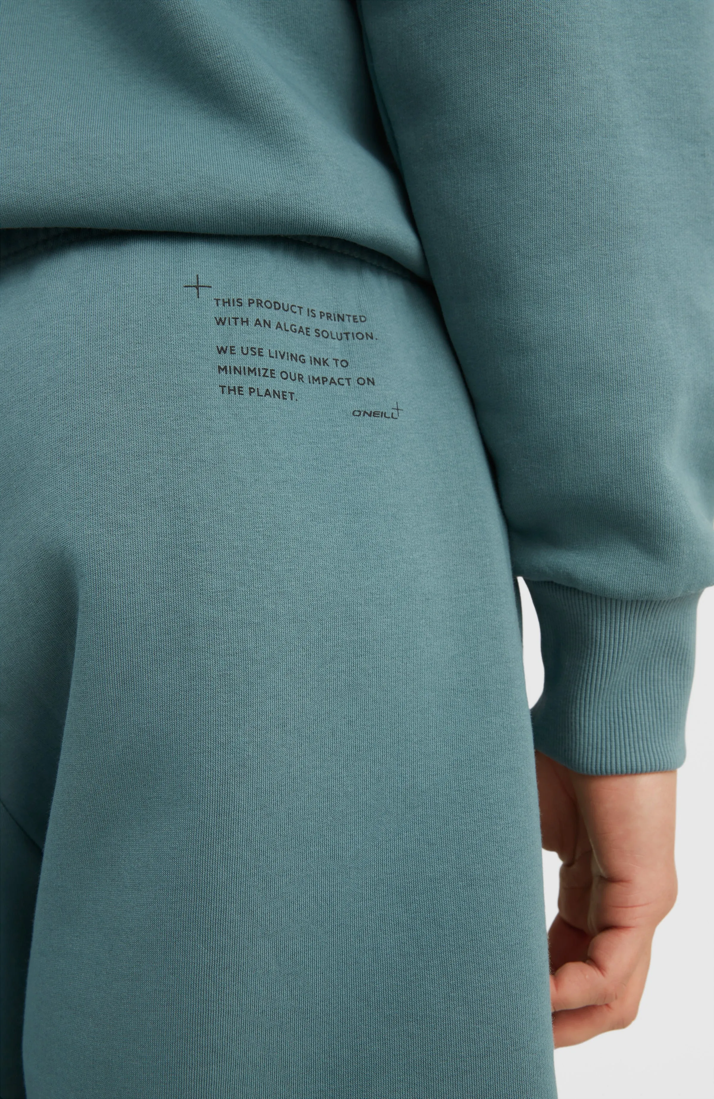 Future Surf Sweatshorts | North Atlantic