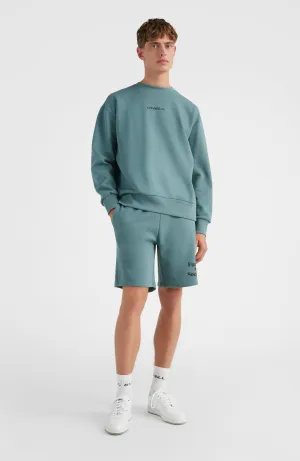 Future Surf Sweatshorts | North Atlantic