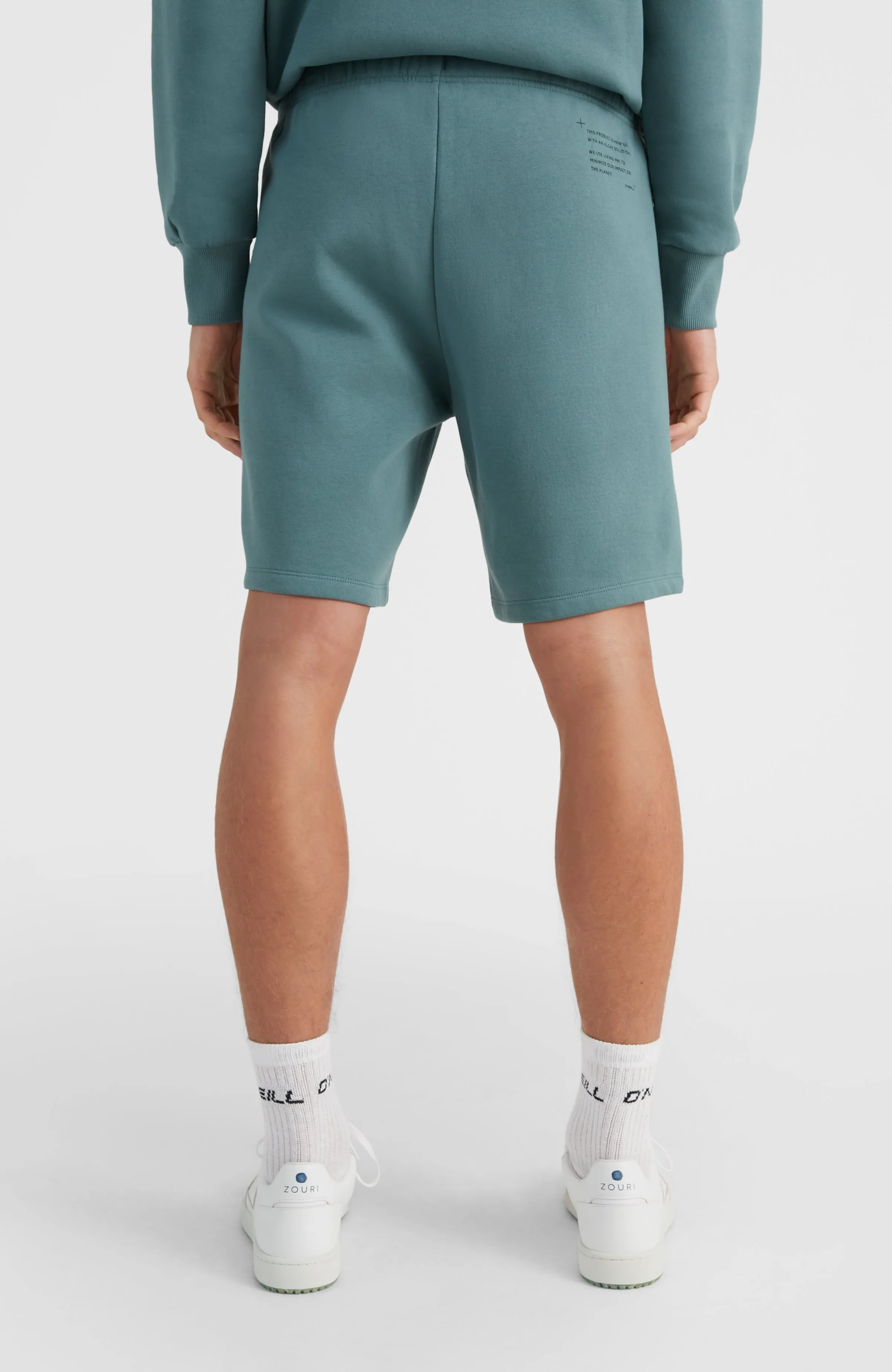 Future Surf Sweatshorts | North Atlantic