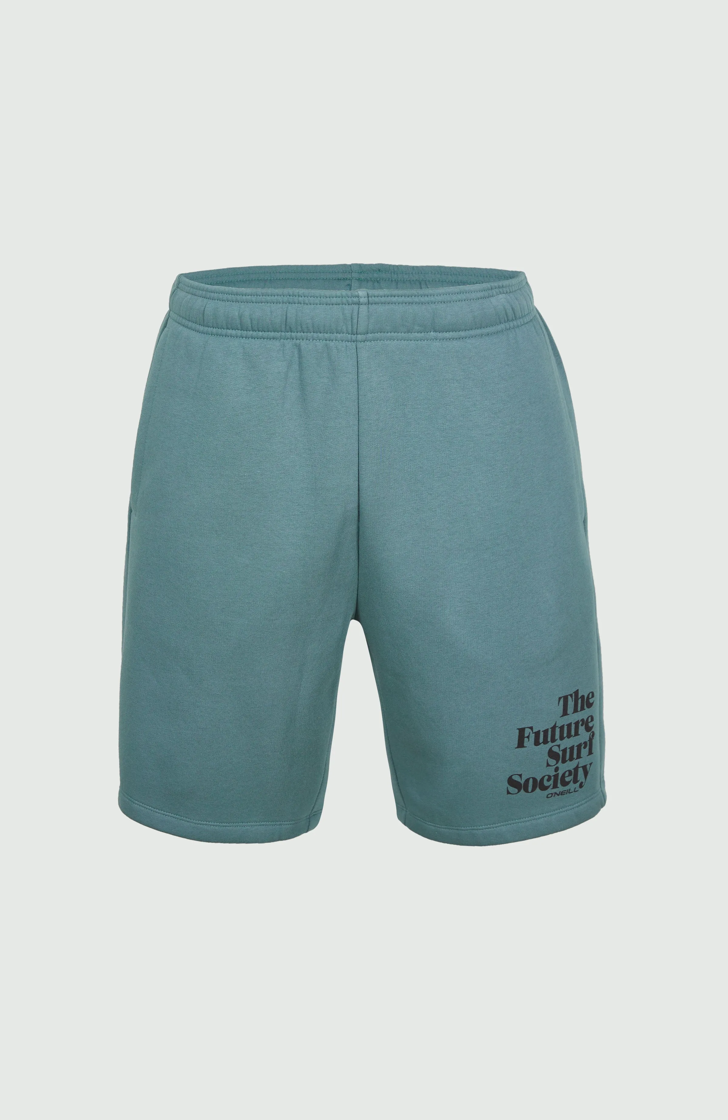 Future Surf Sweatshorts | North Atlantic