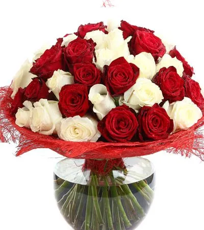 Gorgeous Greetings by Arena