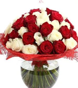 Gorgeous Greetings by Arena