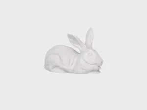 Hare Anton