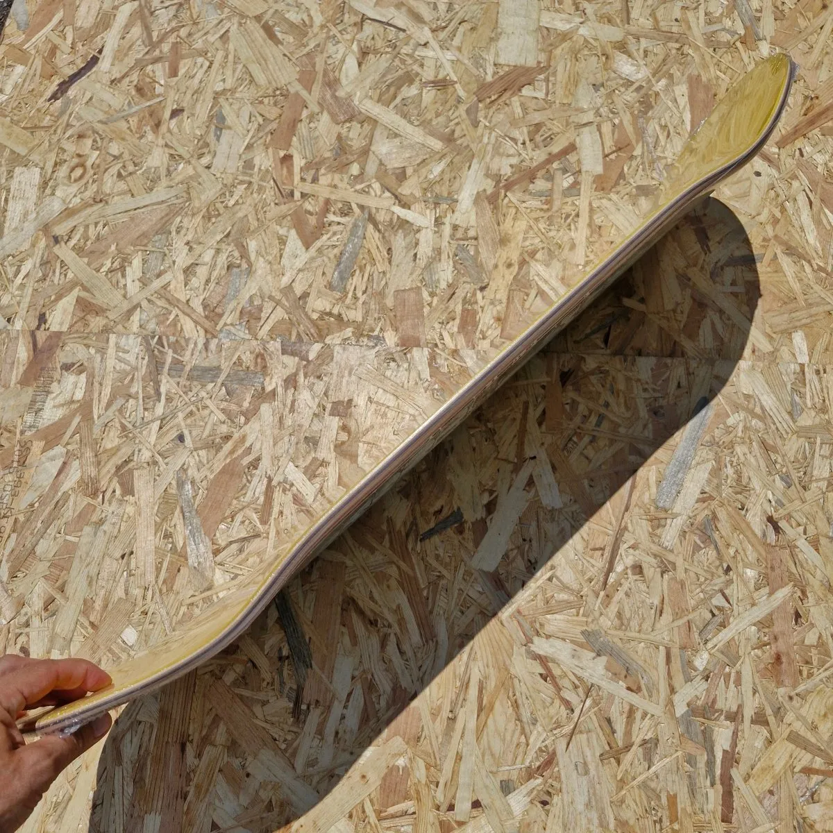 Heroin Skateboards Shellbound Shellraiser 2 9.5 Egg