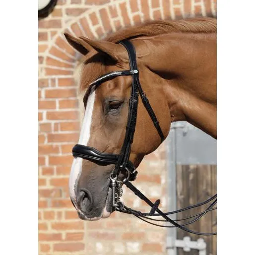 Premier Equine Abriano Anatomic Double Bridle