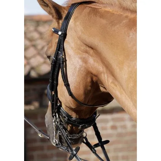 Premier Equine Abriano Anatomic Double Bridle
