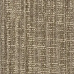 Shaw Carpet Tile Raw Beauty Ingenious
