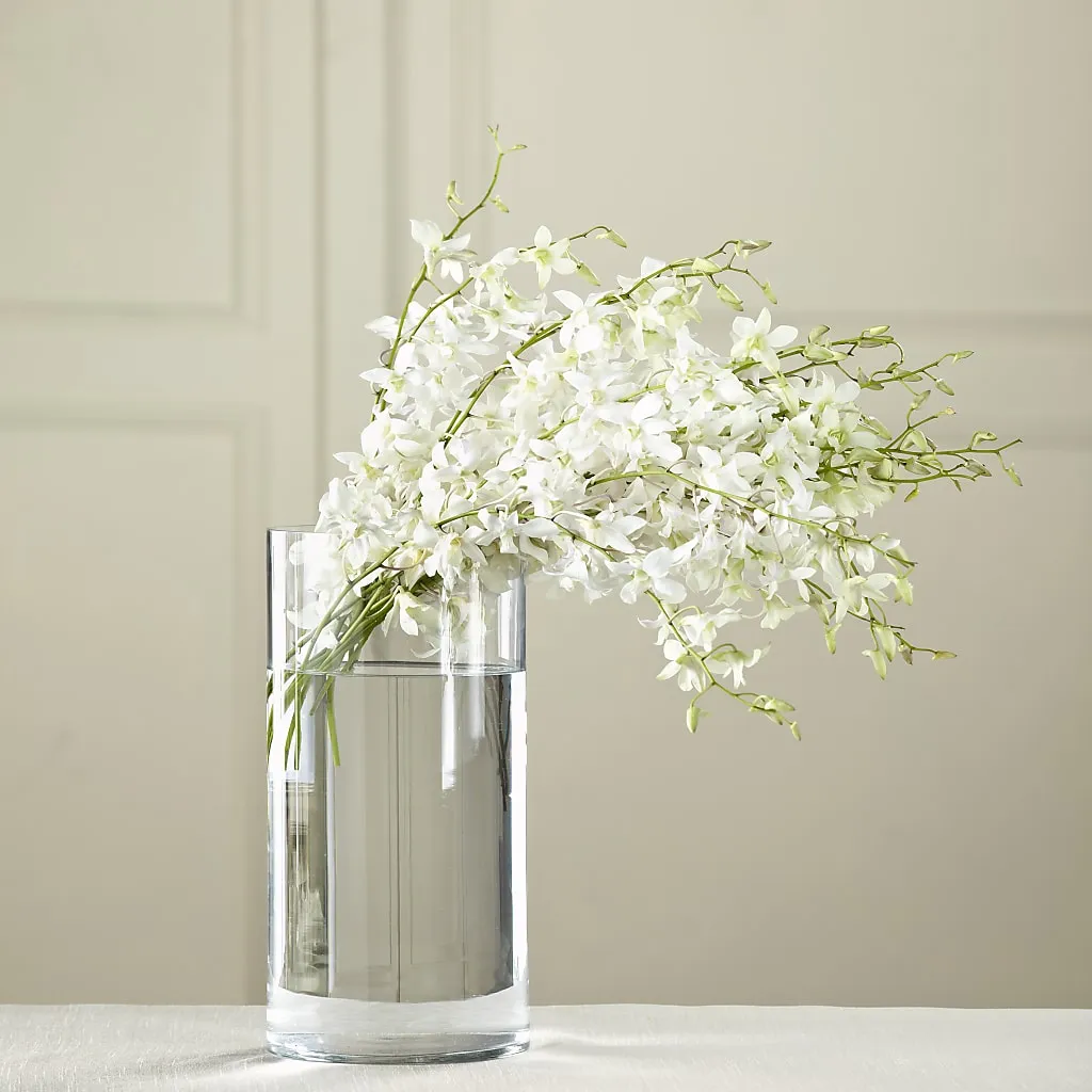 White Dendrobium Bouquet